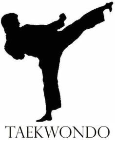 تفاوت های کاراته و تکواندو